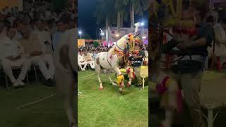 #horse #love  #horseriding #sansansehorhorse #song #automobile #dj #horsecare #lover #dance 🐴