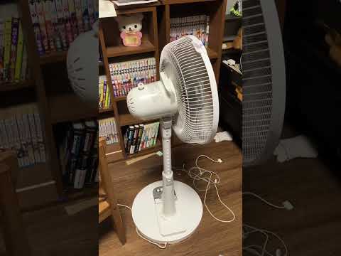 寝ようと思ったら荒ぶる扇風機を発見！