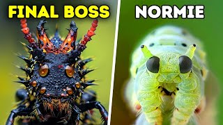 These Caterpillars Became Hungry for Flesh But Why