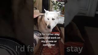 Work from home so you can stay with your best friend. Work from Home. Passive. #dreamjobopportunity