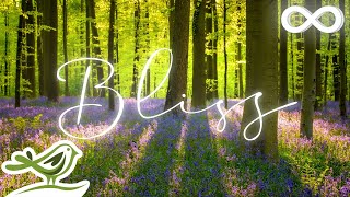 Bliss: Beautiful Relaxing Music with Flute, Piano, Guitar & Bird Sounds