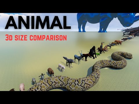 Animal Size Comparison 3D 🦁 🐫 🐅 🕷
