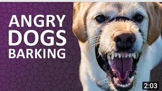 Angry mom vs son fight vlog puppy barking at mother #dailyvlog #viralvideo #funnymoment#vlog