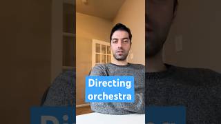 Software tech lead and orchestra director