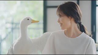 あなたによりそうがん保険 ミライト　保障と相談  長藤さん篇
