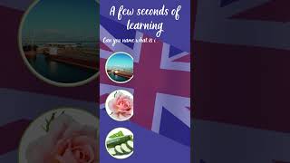Quick Language Boost