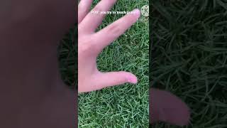 POV: you try to touch grass, but ur a gamer #pov #touchgrass