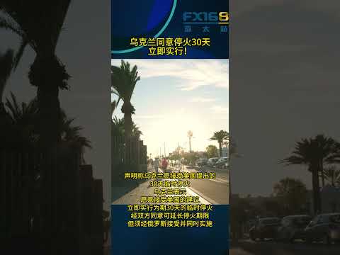 乌克兰同意停火30天，立即实行