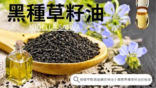 第5集 黑種草籽油有什麼好處？ 中東、埃及千年靈藥你知道嗎？