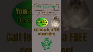 Call Today!