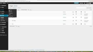 Categories vs Pages and Nesting Menus and Categories in Wordpress