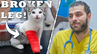 Adorable Kitten Breaks His Leg! (Will He Be Able To Run Again!?)