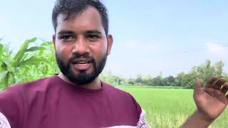 Desi dehati vlogs #dehati #dehativlog #desivlog #newvlog #trend #viral #viralvlogs 