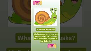 Snails 🐌 mollusks l kids educational channel  #kids #kidschannel #kidsactivities #learning #facts