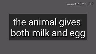 This animal gives both milk and eggs ||upsc adda free ias classes || ias lecture for free