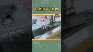 『白醋除了调味还能干啥？这些妙用你知道吗？😏』#shorts  #short #subscribe #shortvideo #like #科普 #抖音 #熱門 #diy #推荐 #推薦