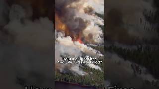How We Fight HUGE Wildfires, and why sometimes, we DON'T! #wildfire #firefighting #Wildlife #Nature