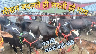 Parsi Pashu Mandi | Meerut Mandi | Up Mela | Cow Bajar | Pashu Palan | Hatwara | Deshi Gaye | Hf cow