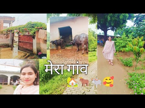 मेरा गांव🏡🐃!!🥰बहुत सारी यादें ताजा हो गई #गांव #villagevlog #घर #village