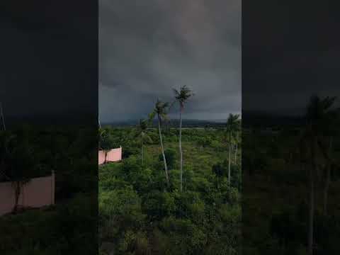 কাল বৈশাখী #viral #viralshorts
