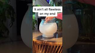 Plant Parent Mistake? FREE Plant care tracker and best online plant care course