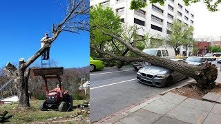 Die Krassesten Holzfäller aufgenommen auf Video