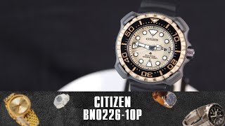 CITIZEN PROMASTER ECO-DRIVE DIVER BN0226-10P. Огляд\Review by secunda.com.ua
