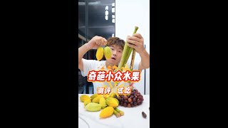 奇葩小众水果试吃，好吃吗？