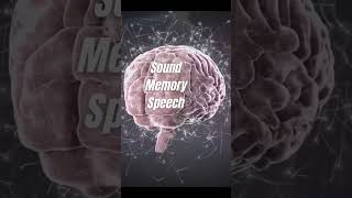 BRAIN ANATOMY IN 1 MINUTE! #braintest  #brain #anatomy #nervoussystem