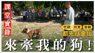 養狗這麼忙，還不社會化靠朋友幫？不藏私上課實錄！｜熊爸估狗