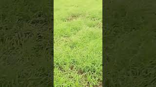 #update #dancemusic #updatenow #dance #nature