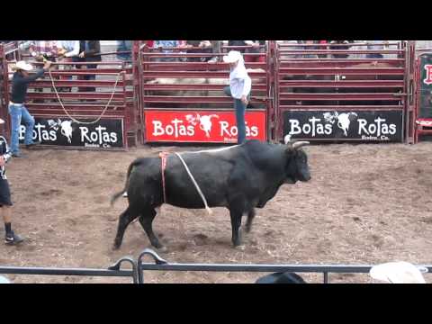 Rodeo Riva Palacio