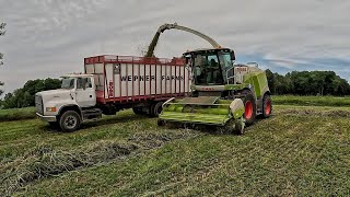 Every Farm Needs Too Grow This Special Crop