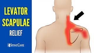 How to INSTANTLY Relieve Levator Scapulae Pain