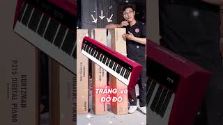KURTZMAN P215 ĐÃ VỀ HÀNG