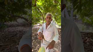 Chocolate fruits 😋 ni eppudain chusara ?  #cocoa #choclate #adventureexploring #fieldwork #trending