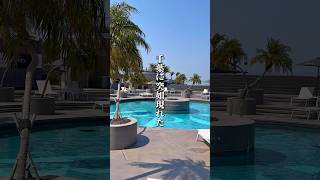 千葉に突如現れた楽園…🏠 BOTANICAL POOL CLUB📍 千葉県安房郡鋸南町下佐久間1510     #千葉#千葉県 #千葉旅行 #旅行