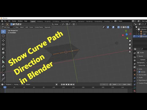 How to Show Curve Path direction in blender 2.9 | Show Curve path direction