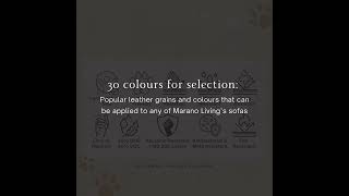 Eco-Leather – a luxurious yet responsible choice for those who care about their health & the planet