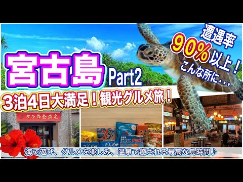 【沖縄・宮古島旅行】やっぱり宮古島は凄かった！素人だけでウミガメに会えるのか！？食べて遊んで癒されまくった宮古島観光グルメ旅（後編）