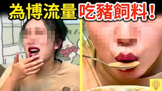 為了流量沒底線！中國網紅吃豬飼料、用鞋吃飯、還偷住急診室，結果下場超活該！