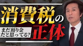 消費税減税や廃止の議論が出ている今こそ「消費税は預り金じゃない」理由を知ってください！#財務省解体デモ #消費税廃止