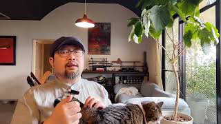 恒大寻求美国破产保护：建立财产区隔的防火墙；美日韩建立小北约；圣上为什么不出访——闲聊三则