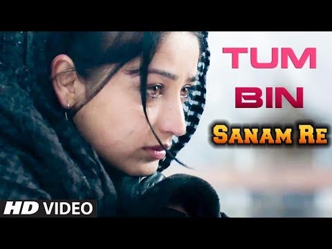 TUM BIN JIYA JAY KAISE COVER VERSION - SANAM RE | PRITHA MAJUMDER | HINDI BOLLYWOOD SONG