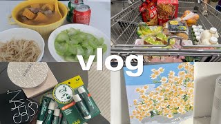 vlog｜杭州开市客采购·数字填色颜料画·周末宅家生活记录