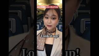 【CAあるある✈️?!】英語表現編(lookの使い方🧐 #caあるある #客室乗務員 #英会話