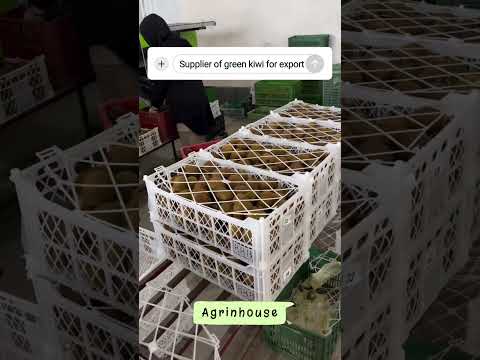 #KiwiExport #FreshFruits #TrustedSupplier #MiddleEastBusiness #ArabTraders #WholesaleFruits #Export