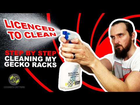 Reptile Cleaning 101 - How do you clean Gecko racks - Cookies Critters