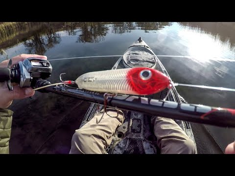 Fall Topwater Fishing Big Smallies And Pike!