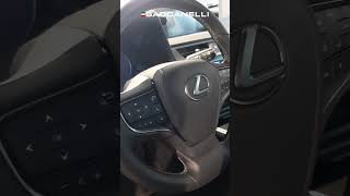 Uno sguardo ravvicinato alla Lexus UX Hybrid 4WD Executive